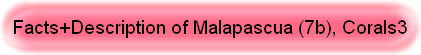 Facts+Description of Malapascua (7b), Corals3
