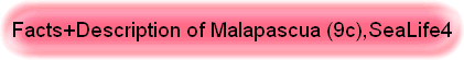 Facts+Description of Malapascua (9c),SeaLife4